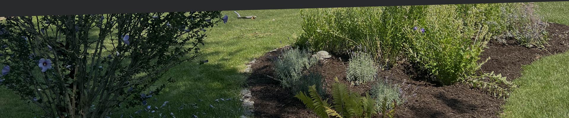 Landscaping Property Maintenance